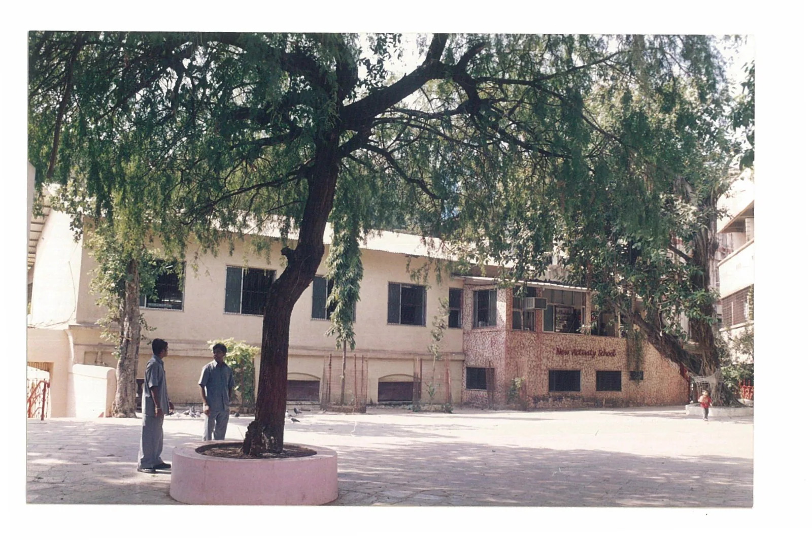 The New Activity School courtyard and building under the trees